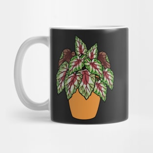 Begonia Rex Plant Illustration | Plant in a pot Mug